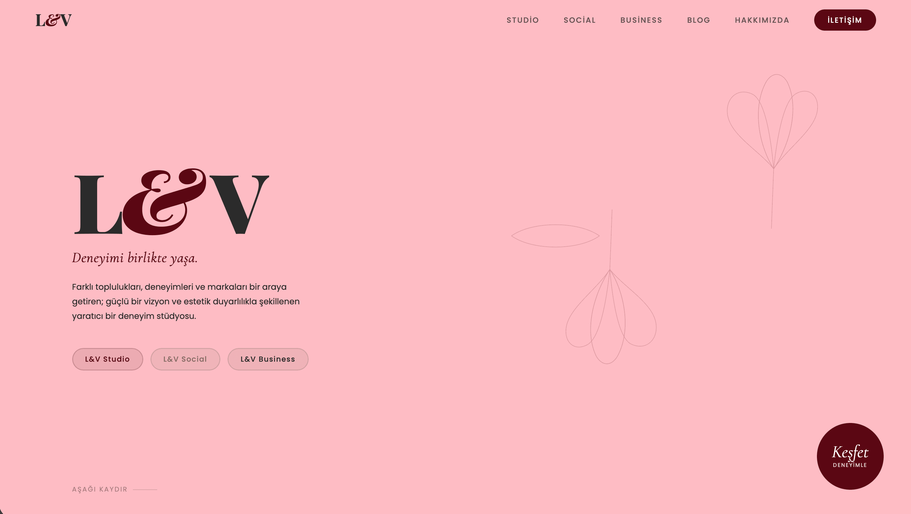 L&V Creative Studio screenshot 1