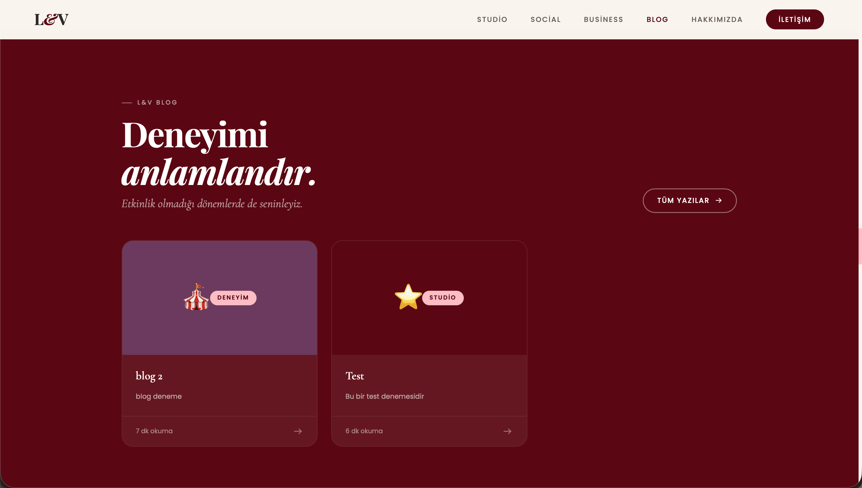 L&V Creative Studio screenshot 6